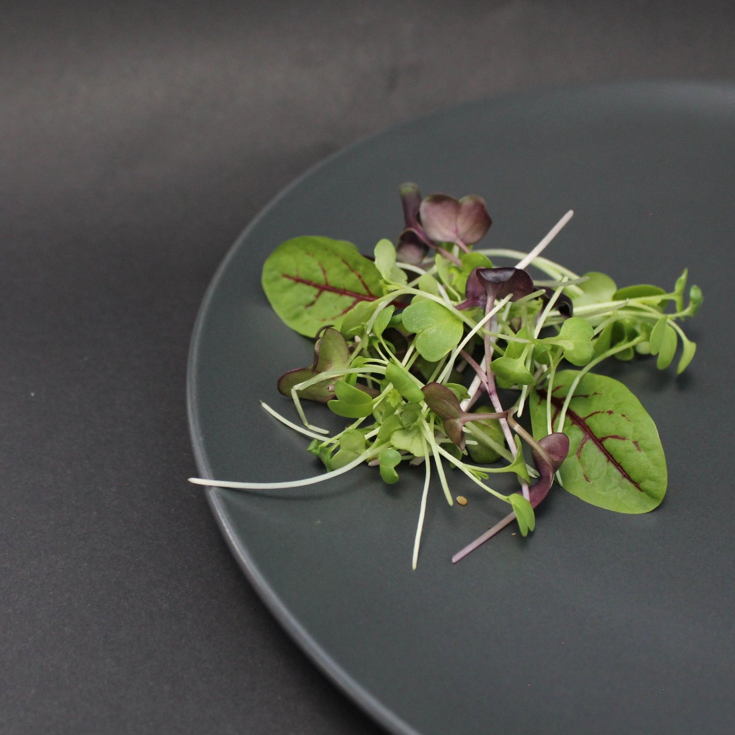 Arable Superfood Microgreens Mix with Red Veined Sorrel – vibrant blend of antioxidant-rich microgreens and sorrel leaves for gourmet nutrition and immunity support.