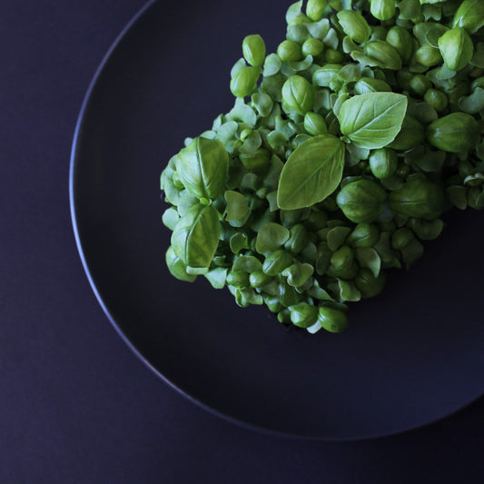Basil: Not Just a Herb, but a Health Essential