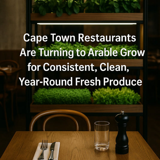 Cape Town Restaurants Are Turning to Arable Grow for Consistent, Clean, Year-Round Fresh Produce