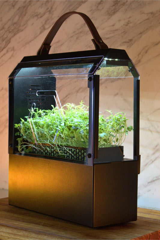 Meet Sprout: Your Compact Hydroponic Grower for Fresh, Homegrown Greens