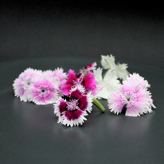 Edible Flowers