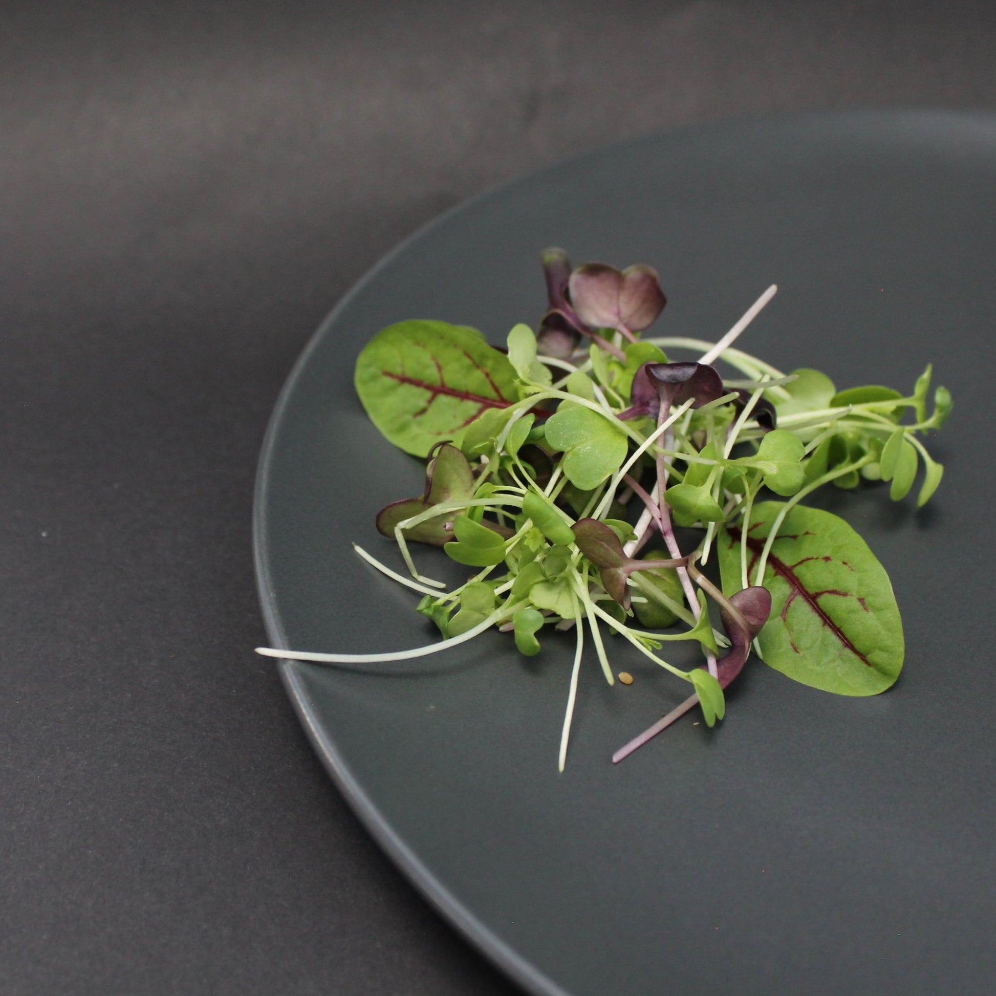 Arable Superfood Microgreens Mix with Red Veined Sorrel – vibrant blend of antioxidant-rich microgreens and sorrel leaves for gourmet nutrition and immunity support.