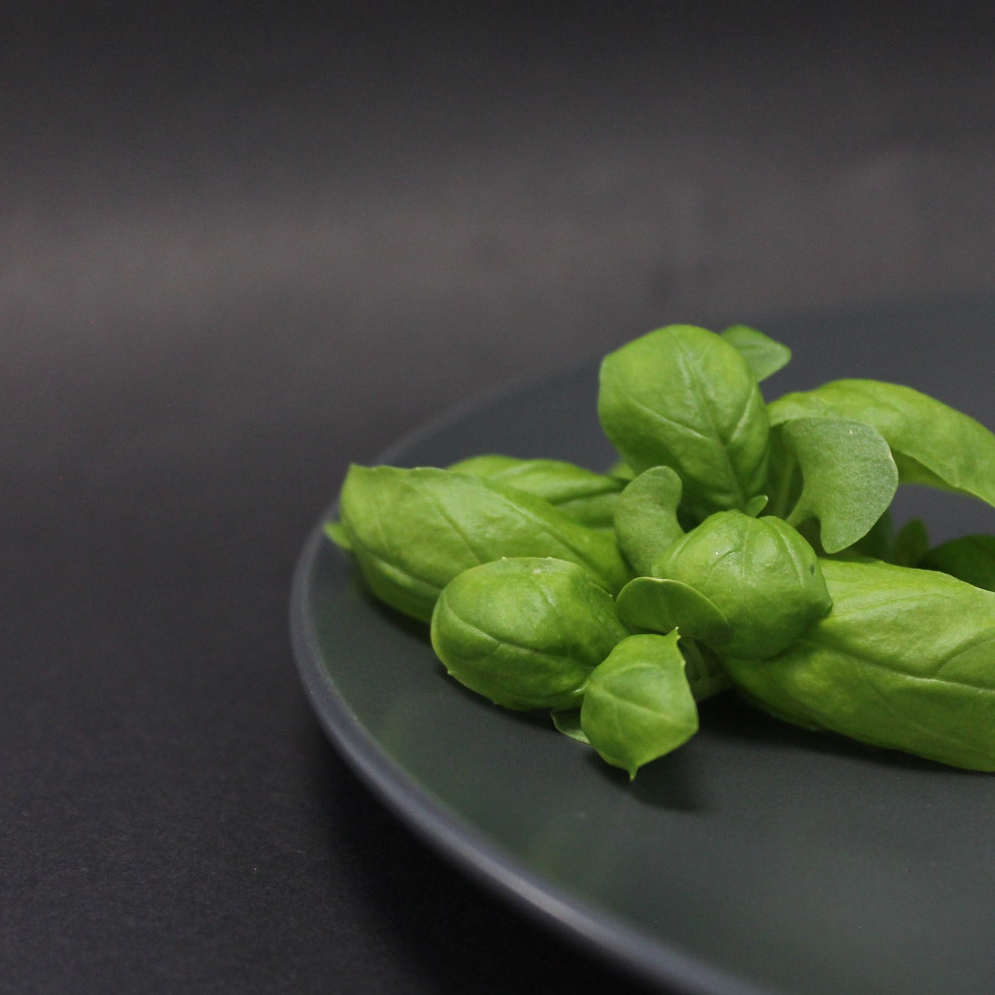 Basil