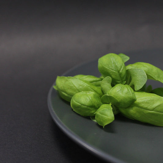 Basil