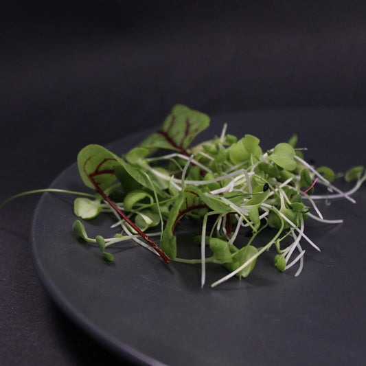Salad Mix