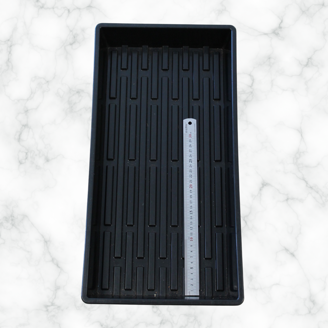 Deep microgreen growing tray with solid base and drainage channels, ideal for indoor hydroponics, seed starting, and soil-based microgreen cultivation