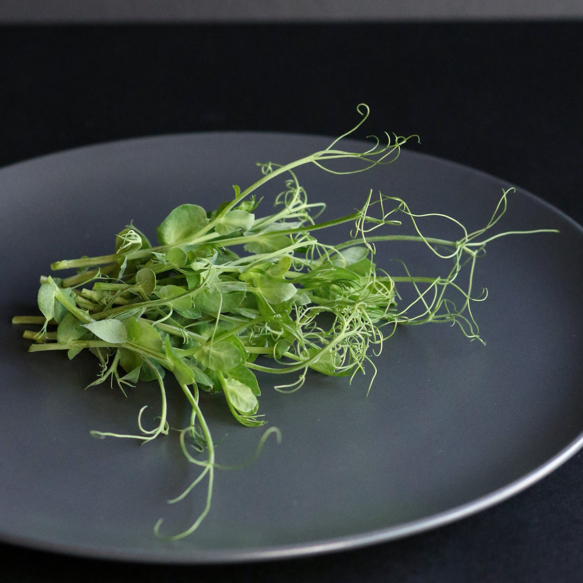 Pre-Order Micro Pea Shoots - Freshness Guaranteed – Arable Grow