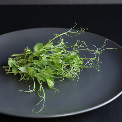 Fresh green pea shoots with delicate tendrils, perfect for salads, stir-fries, and nutrient-packed microgreen dishes.