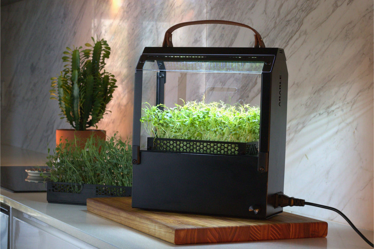 Sprout Counter Sprout – Arable Grow