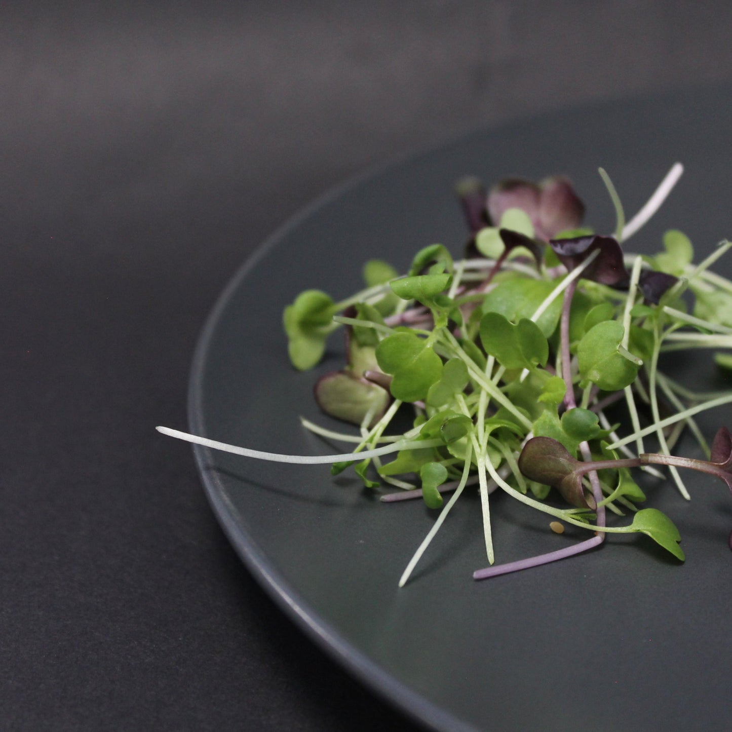 Arable Superfood Mix microgreens – fresh, nutrient-dense blend of green and purple shoots, packed with vitamins, antioxidants, and flavor. Ideal for salads, smoothies, and health-conscious meals.
