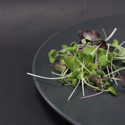 Arable Superfood Mix microgreens – fresh, nutrient-dense blend of green and purple shoots, packed with vitamins, antioxidants, and flavor. Ideal for salads, smoothies, and health-conscious meals.