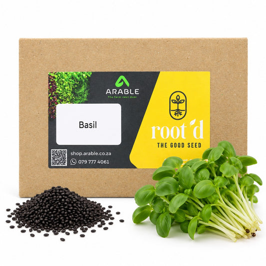 Basil Seeds