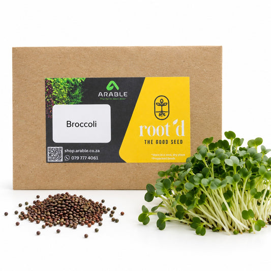 Broccoli Seeds