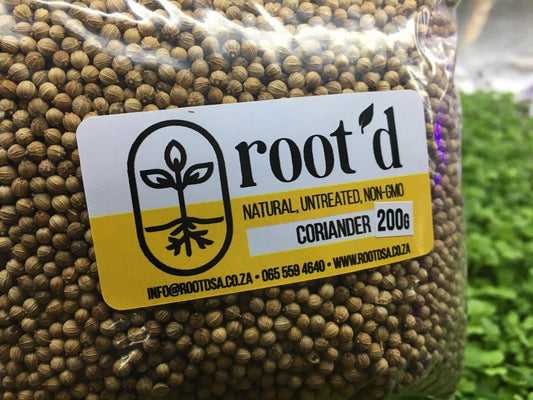 Coriander Seeds