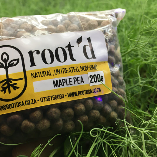 Pea Shoot Seeds