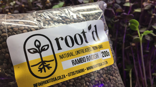 Rambo Radish Seeds