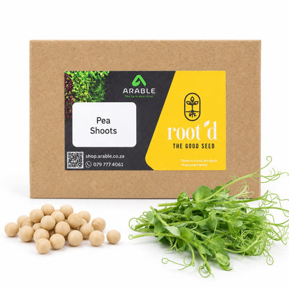 Pea Shoot Seeds