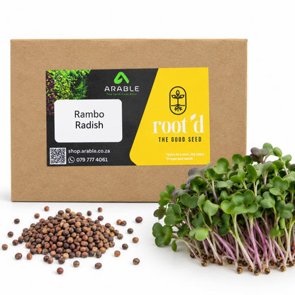 Rambo Radish Seeds