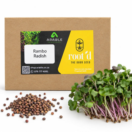 Rambo Radish Seeds