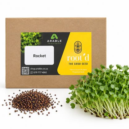 Rocket Seeds